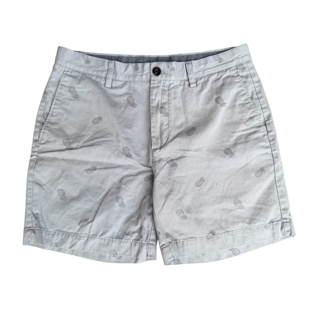 Amazon Essentials Mens Pineapple Print Chino Shorts Gray Size 34 Tropical Summer